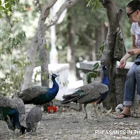 Stanic - Away From ! Διαμέρισμα *