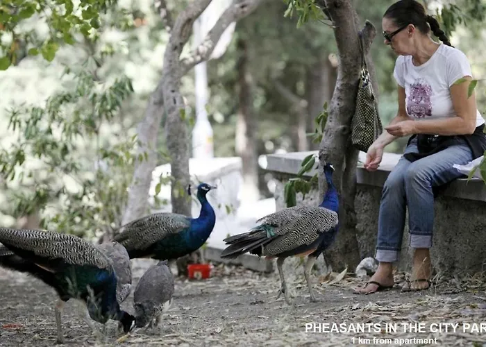 Stanic - Away From ! Apartman *