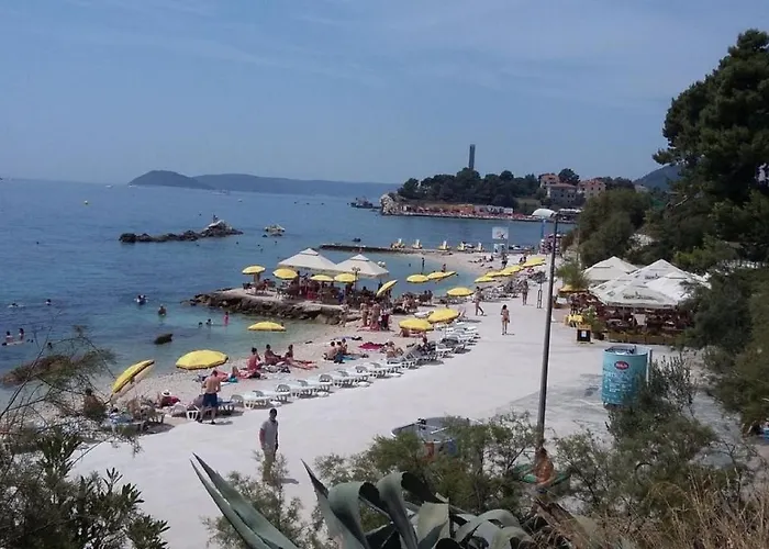 Stanic - Away From ! Split