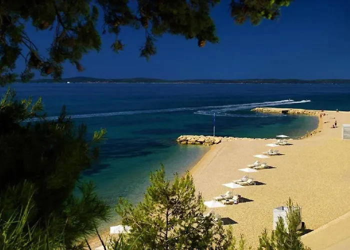 Stanic - Away From !